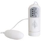 White Nights Controller with Bullet Vibrator - ACME Pleasure