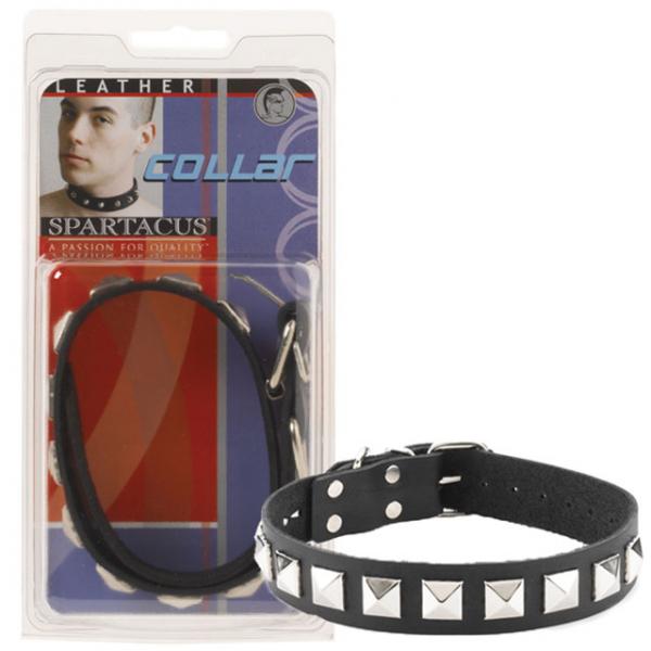 Leather Collar 1 Inch With Assorted Studs - ACME Pleasure