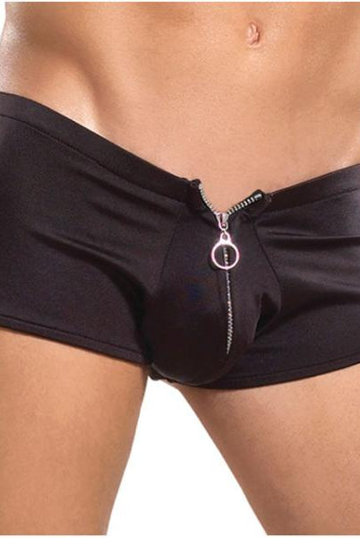 Male Power Zipper Shorts L/XL Underwear - ACME Pleasure