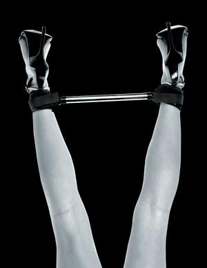 Fetish Fantasy Limited Edition Spreader Bar - ACME Pleasure