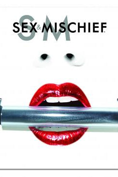 Sex & Mischief Silky Bit Gag Black - ACME Pleasure
