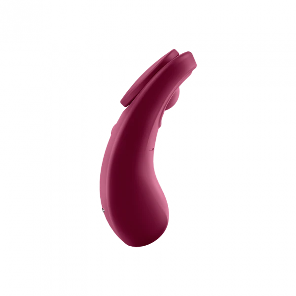 Sexy Secret - Wine Red - ACME Pleasure